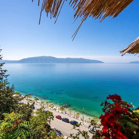 Halina - Happy * Vlorë